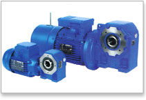 Worm Gear Reducers and Rossi Gear Motor